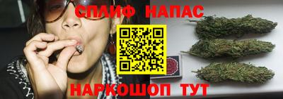 гашик Балаково