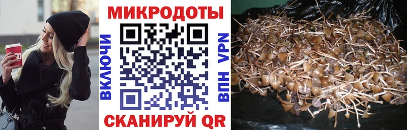 Галлюциногенные грибы Magic Shrooms  даркнет сайт  Новоалтайск 