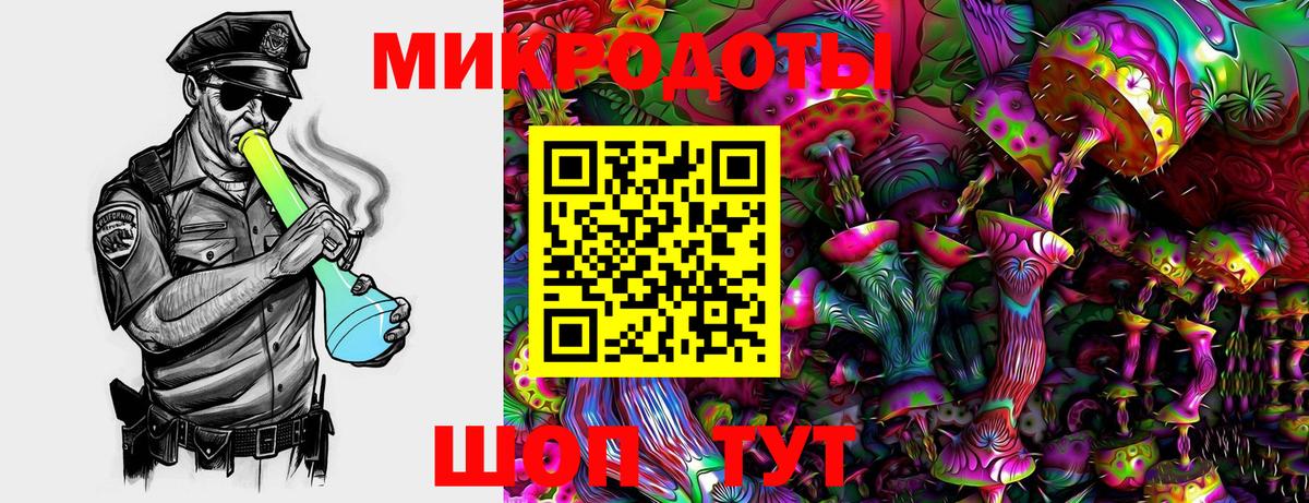 Псилоцибиновые грибы Magic Shrooms  Псилоцибиновые грибы Psilocybe  Вход с VPN  Новоалтайск 
